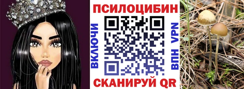 дарнет шоп  KRAKEN как зайти  Галлюциногенные грибы MAGIC MUSHROOMS  Будённовск 